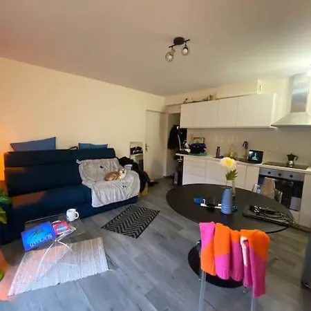 1 Piece Principale Avec Terrasse Privee Proche De Toutes Commodites Apartamento